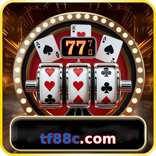 tf88c.com